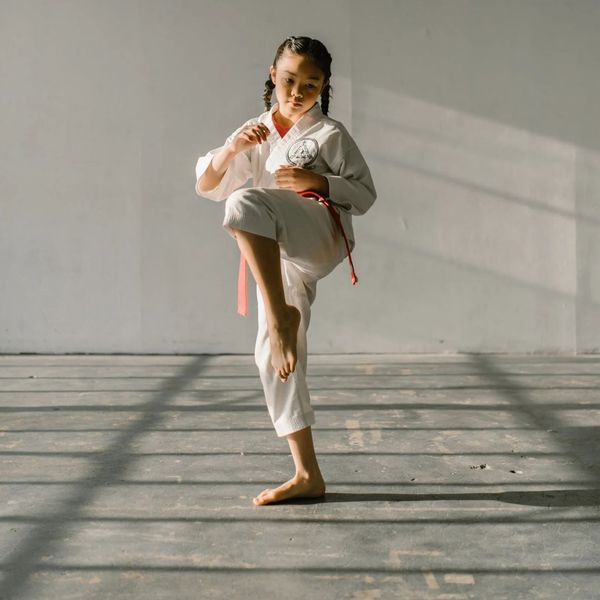 What Does It Mean to be an Upstander Kid? Alonzo Martial Arts